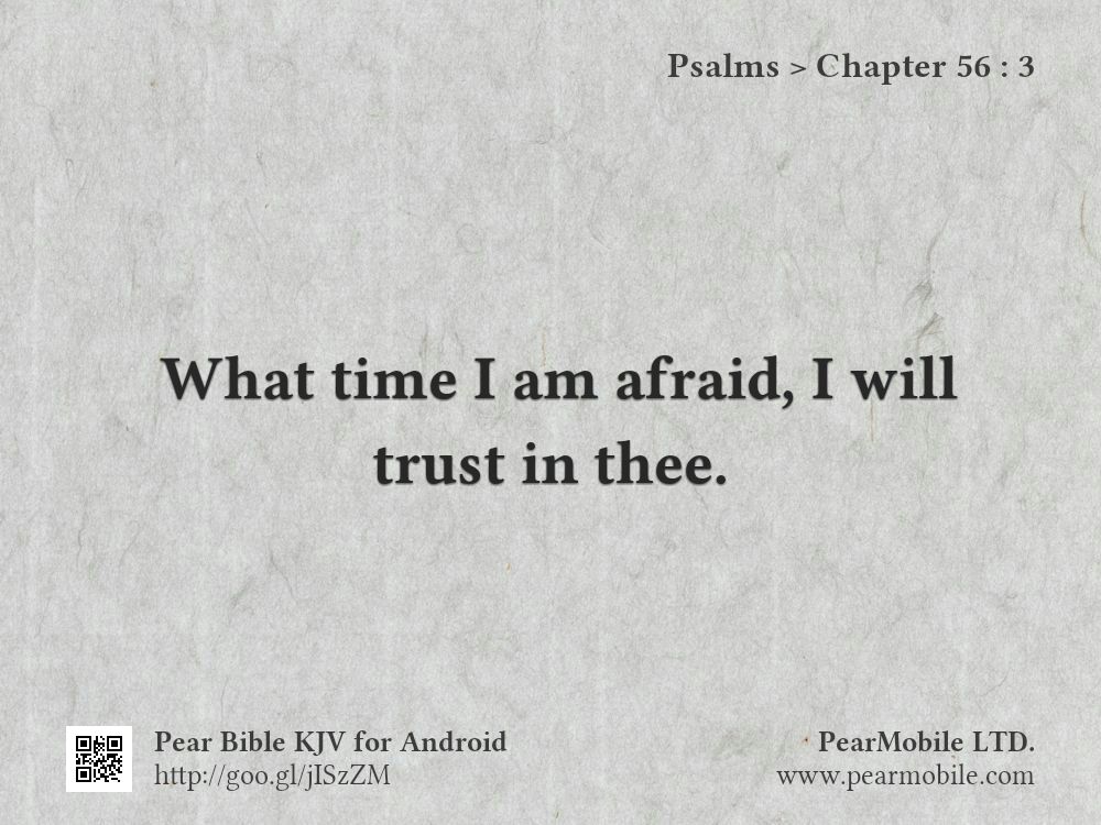 Psalms, Chapter 56:3